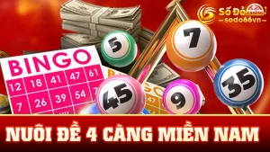 nuôi đề 4 càng miền Nam