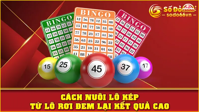 Cách nuôi lô kép từ lô rơi đem lại kết quả cao