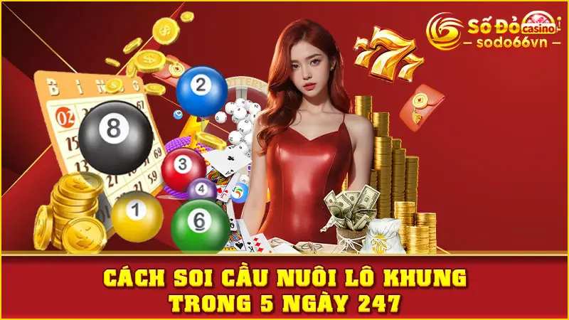 Cách soi cầu nuôi lô khung trong 5 ngày 247